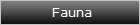 Fauna
